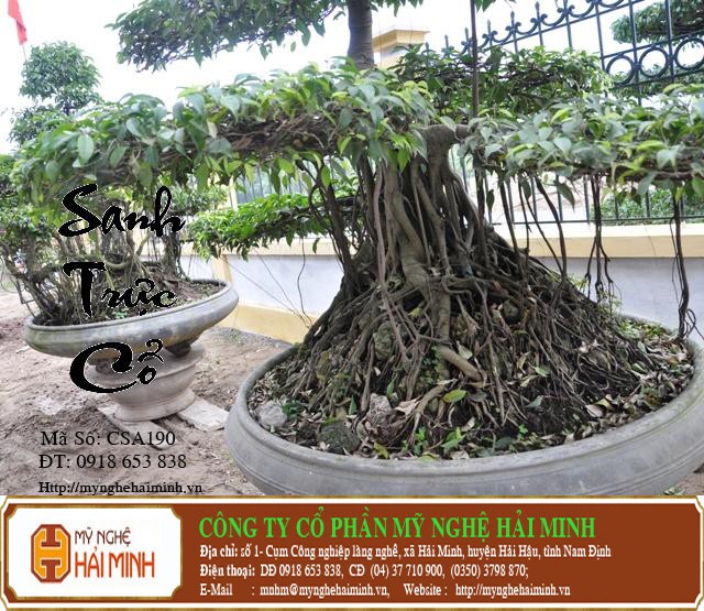 Do go my nghe Hai Minh - Hai Hau - Nam Dinh